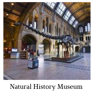 natural history museum